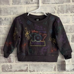 NWT Disney Baby Toy Story Woody Buzz Pullover Gray Sweatshirt L/S 12M